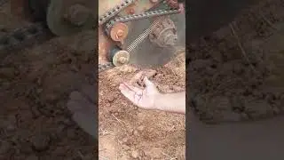 Механическая сеялка для арбуза 🇧🇷🌱🍉