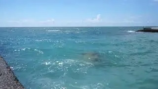 Просто Чёрное Море, самое синее море на свете. Шум прибоя, релакс и медитация
