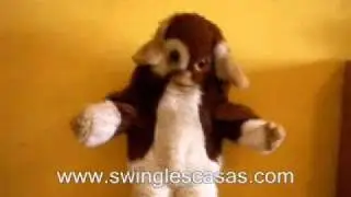 Dancing Gizmo.wmv