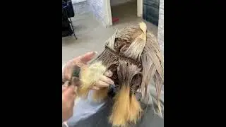 How to hide gray hair and get a beautiful blonde. Recipe in the comments👉