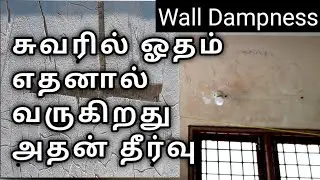 wall dampness || சுவரில் ஓதம் வராமல் தவிர்க்கலாம்