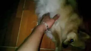 camila.m4v