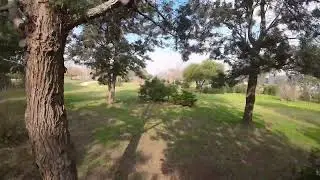 Testing DJI AVATA in Almussafes park.