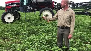 How and Why Maryland Farmers Decide to Control Weeds