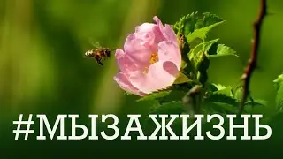 Таганрог. Миусский Лиман.