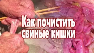 Как почистить свиные кишки для домашней колбасы !