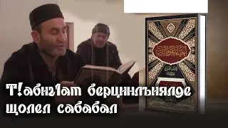 Т!абиг1ат берцинлъиялде щолел сабабал
