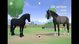 Breed my Friesian and SWB w me! || Name ideas?
