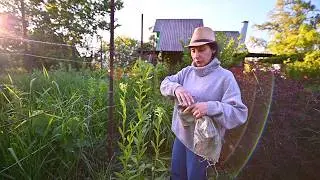 ДАЧА РОДИТЕЛЕЙ ПРОДАЁТСЯ!? ЧТО МЫ БУДЕМ ДЕЛАТЬ С ДАЧЕЙ?