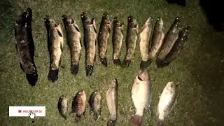 Pescaria de traíra # e salve pros inscritos