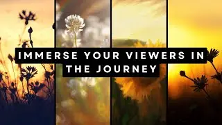 Take Your Viewers on a Cinematic Adventure: Travel Cinematic LUTs for Unforgettable Videos