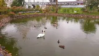 ТОЛГСКИЙ МОНАСТЫРЬ