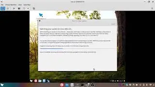 Upgrading Feren OS Classic to Linux Mint 20.1 and Feren OS LIVE to see if it works still