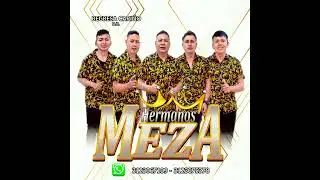 LOS HERMANOS MEZA Regresa Cariño AUDIO OFICIAL ✓(2024)