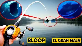 FISHING FOR EL GRAN MAJA & THE BLOOP IN REAL LIFE (GONE WRONG)