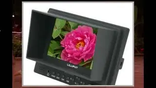 Lilliput 569GL50NPHOY 5