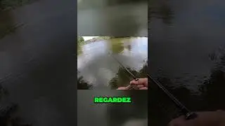 Pêche au Metal Jig une astuce imparable pour attirer les aspes !
