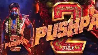 Pushpa 2 hindi movie #part1