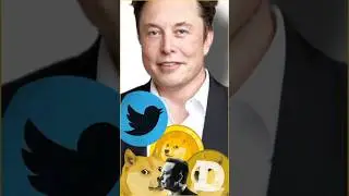 Elon Musk sued for Doge price manipulation by investors