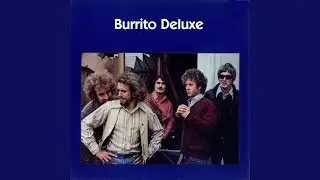 The Train Song
