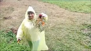 Ливень. Безделье на участке. Песни от авторов.