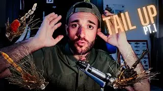 Carpe a mosca - video dressing per tutti - TAIL UP