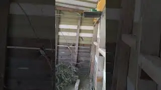 Вольер