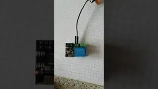 Relay module not working