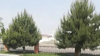 Namangan