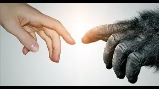 Seeking Faith & Practice - Scientific Discovery