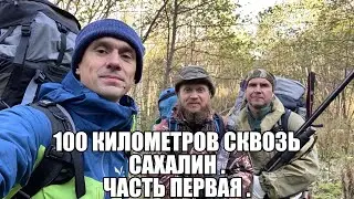 2 ноября 2023 г.