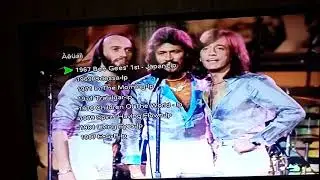 Bee Gees - Audio DVD Collection (В Коллекцию)