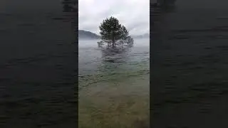 Просто вода источник жизни