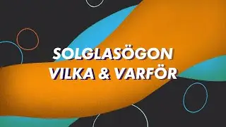 Bonefishbibeln - Solglasögon | www.el-ge.se