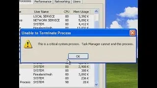 Trying to force a BSOD on Windows XP Virtual Box
