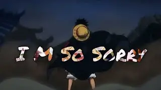 One Piece [AMV] - I'm  So Sorry