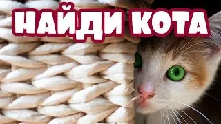 ЕСЛИ НАЙДЕШЬ ВСЕХ КОТОВ  — ТЫ КРУТ! 🐈 Найди кота на фото | БУДЬ В КУРСЕ TV