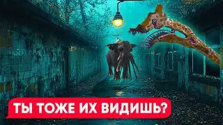 МУТАНТЫ из зоопарка ЗООЧОСИС в Реальной Жизни! (Zoochosis)