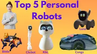 The Best 5 Personal Robots of 2023: Your Future Companions!