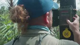 Picayune Strand Restoration Project | FGCU