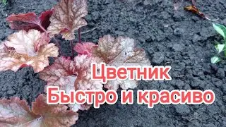 Let's create a flower bed quickly and beautifully!👌🌱🌸🌼🌷