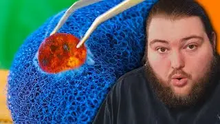 MOST Oddly Satisfying Videos! (Coyote Reacts)