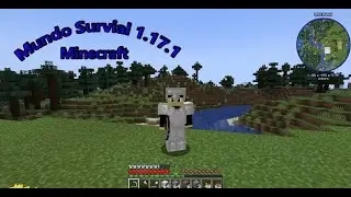 minecraft survival 1.17.1