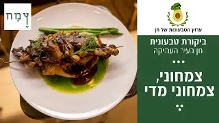 האם אסף גרניט והמישלן יכבשו את הקהל הטבעוני? מסעדת צמח