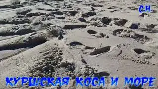 КУРШСКАЯ КОСА И МОРЕ !  НАСЛАЖДЕНИЕ!