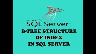 B-Tree Structure Of Index In SQL Server - Index In SQL - SQL Indexes - SQL Server ( Hindi / Urdu )