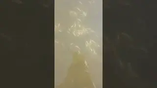 Отравление реки Большой кизил