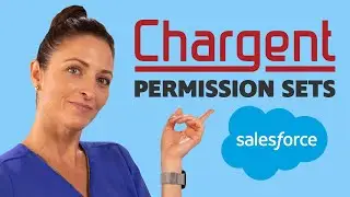 SALESFORCE: How to Assign Chargent Permission Sets