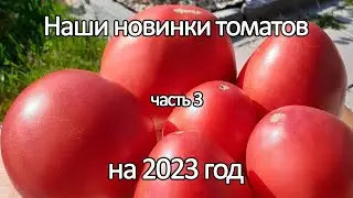 Наши новинки редких сортов томатов на 2023 год. Часть 3