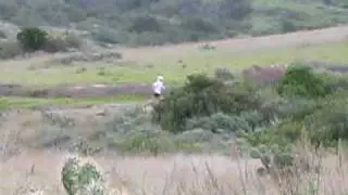 Catalina Marathon 2009-Mile 6
